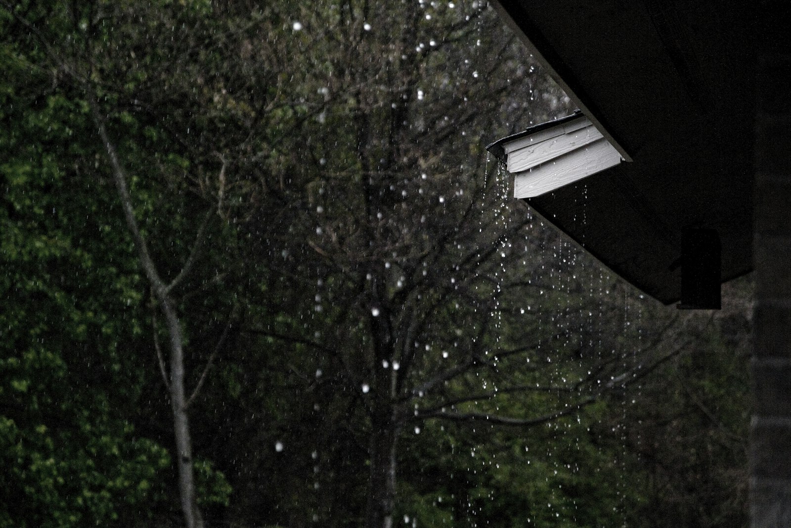 Nouvelle loi : ce que vous risquez en utilisant l'eau de pluie chez vous