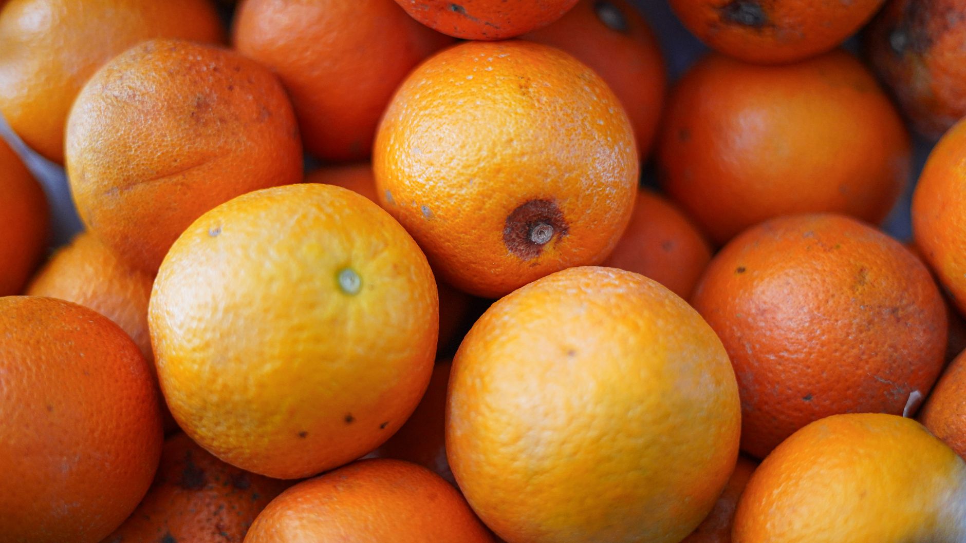 Rappel d'oranges chez Auchan pour excès de pesticides : que faire ?