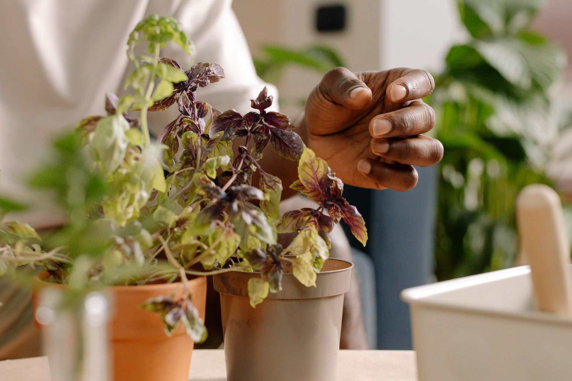 Préparez votre jardin : 5 étapes essentielles avant l’hiver