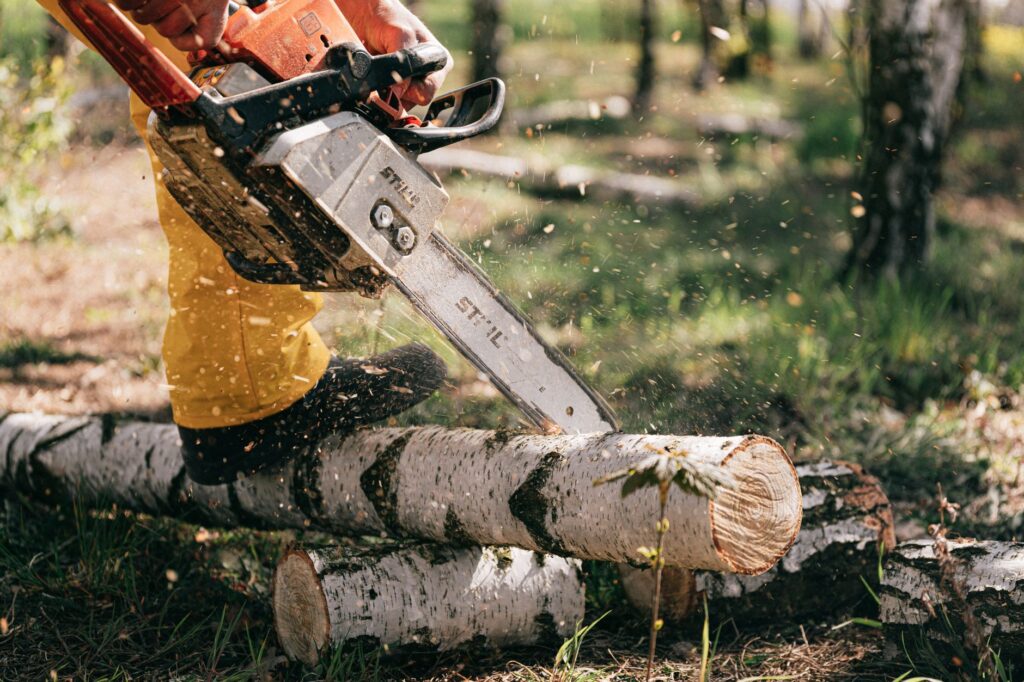 Bosch ou Makita : quel écosystème pour outils de jardin sans fil