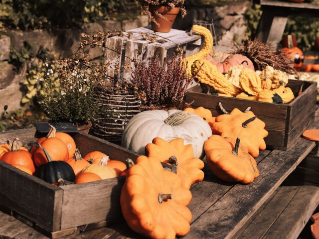 Préparez votre jardin : 5 étapes essentielles avant l’hiver