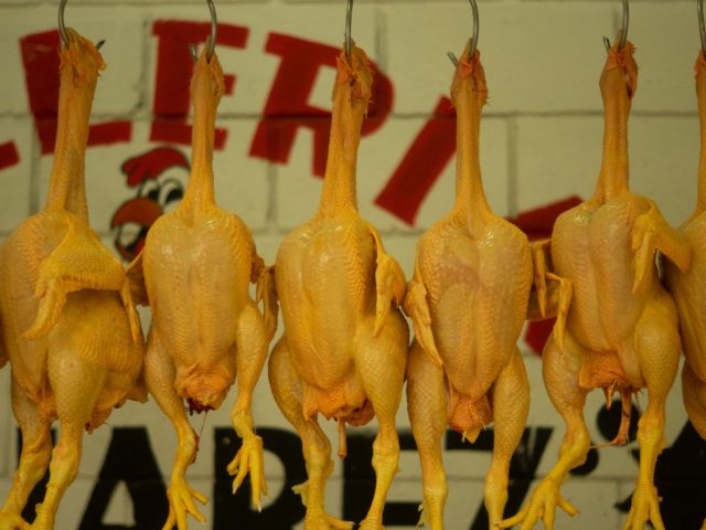 Alerte : des poulets hachés contaminés par la salmonelle dans vos placards ?