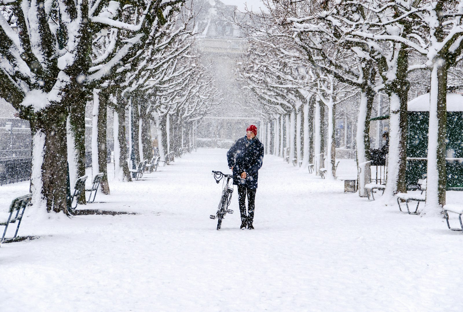 Avant l'hiver, la tonte finale : la clé pour un gazon verdoyant au printemps