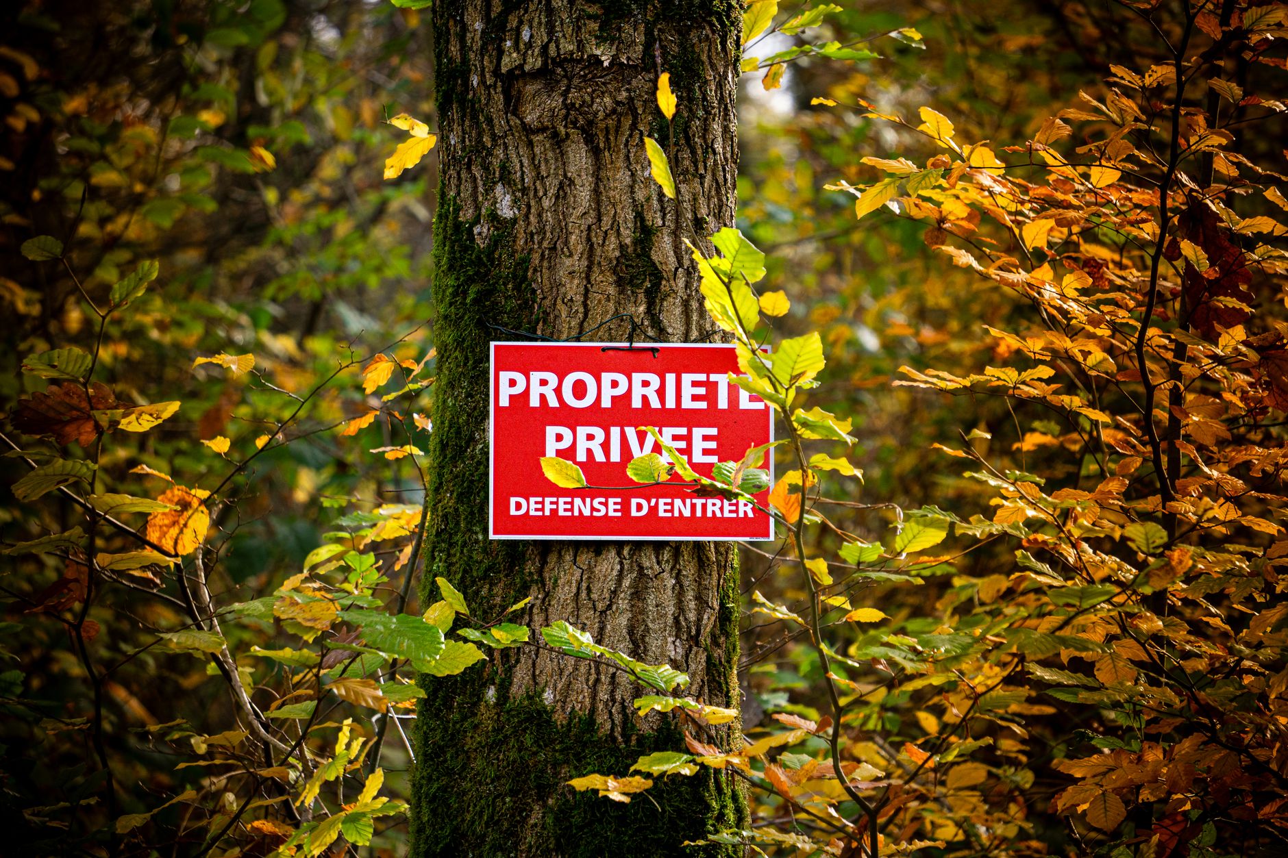 Livraison de bois : la négligence qui peut vous coûter 750 euros