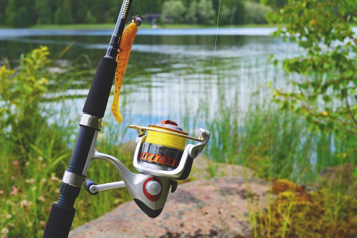 Matériel de pêche Decathlon : bien choisir ses accessoires d'occasion