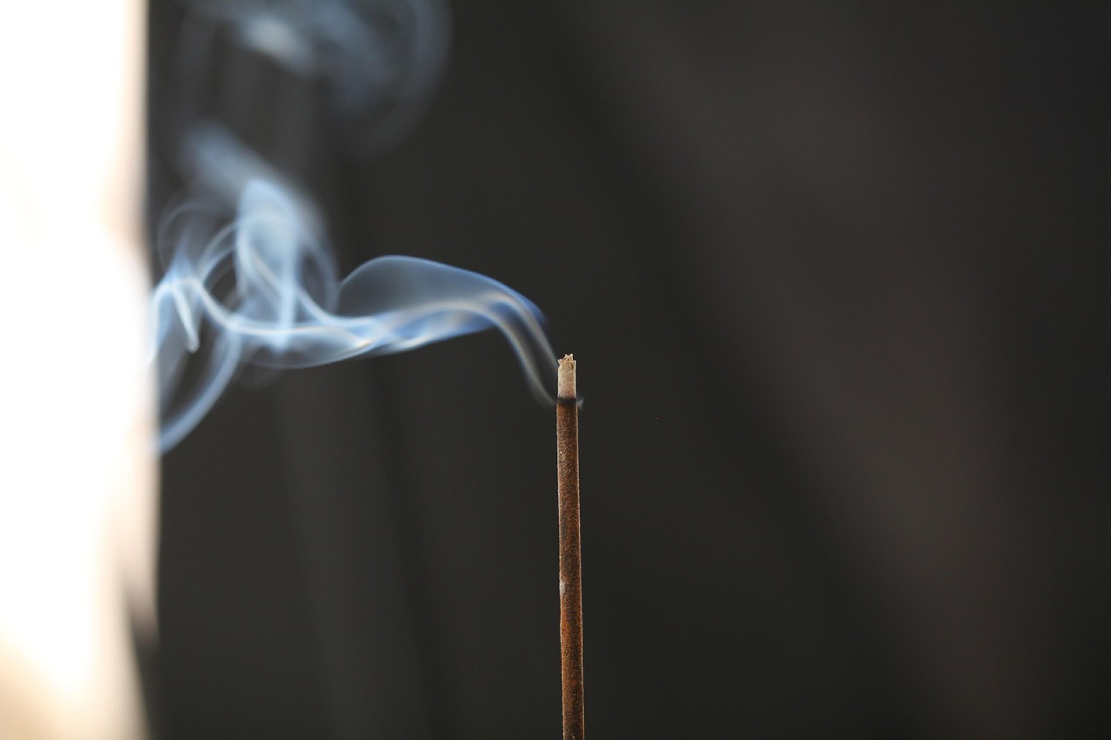 Copeaux de bois d'agar sombres prêts à être brûlés comme encens