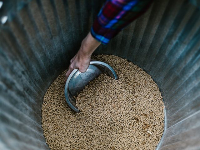 Les granulés de bois flambent : 5 astuces pour économiser cet hiver