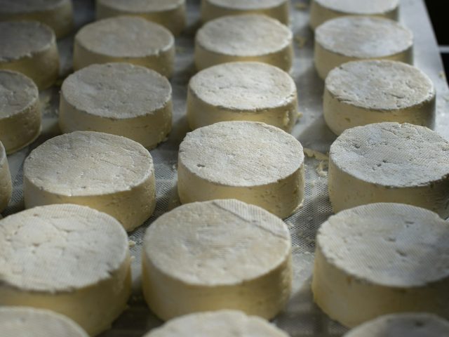 Camembert fermier au lait cru rappelé : risque de listériose à surveiller