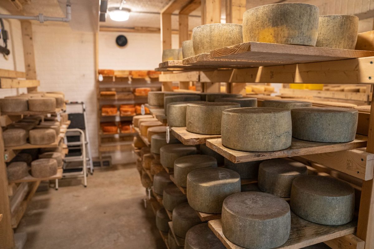 Dès maintenant, évitez ces fromages BIO pour votre santé