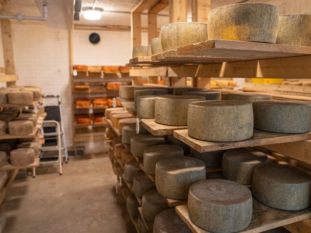 Dès maintenant, évitez ces fromages BIO pour votre santé