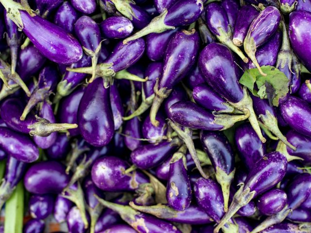 Les aubergines Presta Verde : Attention aux pesticides qui menacent votre santé !