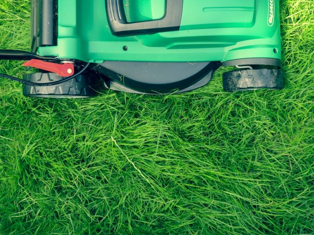 Avant l’hiver, la tonte finale : la clé pour un gazon verdoyant au printemps
